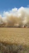 18 dönümlük buğday tarlası tamamen yandı
